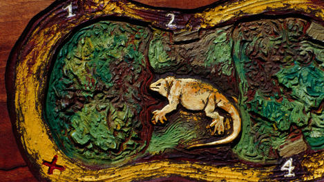 Image_17794-23