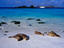 Image_17795-1
