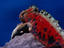 Image_17795-54