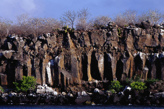 Clay lick on North Seymour Island.