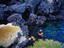 Image_17848-6