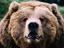 Image_17853-52