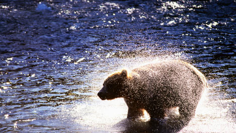 Image_17853-55