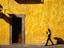 Image_17883-63