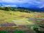 Image_17935-2