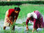 Image_17935-4