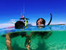 Snorkellers with boat in background.