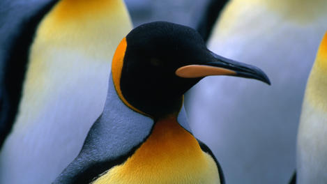 Image_18005-6