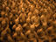 Image_18010-2