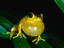 Image_1802-39