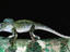 Image_1803-8
