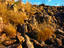 Kakadu Escarpment, Kakadu & Arnhem Land