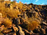 Top of Kakadu Escarpment.