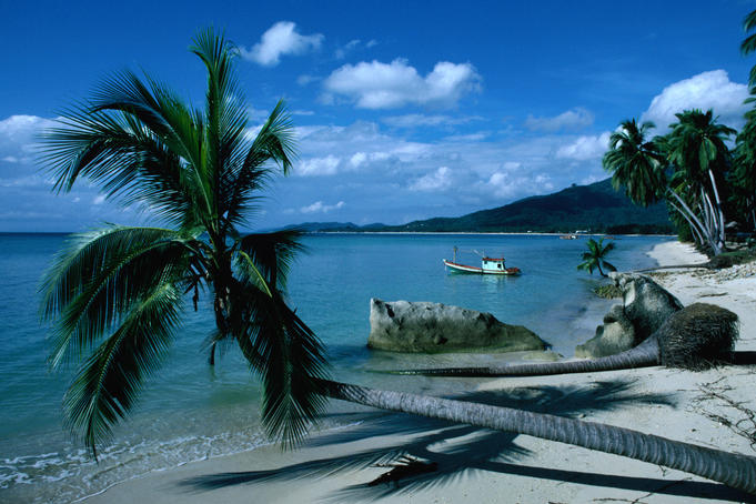 Leaning palm and boat in the bay off Lamai beach, Ko Samui.