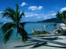 Leaning palm and boat in the bay off Lamai beach, Ko Samui.