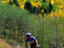 Ski Basin Rd, Santa Fe