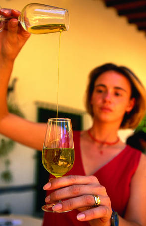 Hojiblanco (Olive Oil) tasting