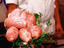 Image_1853-43