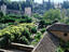 Image_1855-37