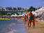 Beach at one of Sinai Peninsula's premier resort towns.