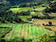 Farmland, Greece