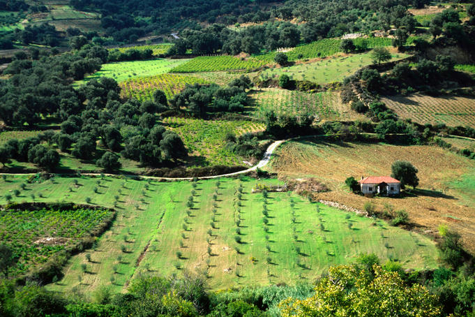 greece-image-gallery-lonely-planet