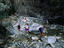 Samaria Gorge, Greece