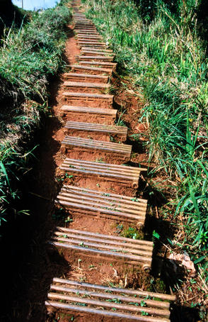 Steps, made from old radiators, on trail to Salto del Caburni.