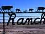 Ranch sign detail, Hill Country.