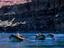 Image_18590-21