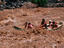 Image_18590-30