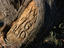 Image_1860-7