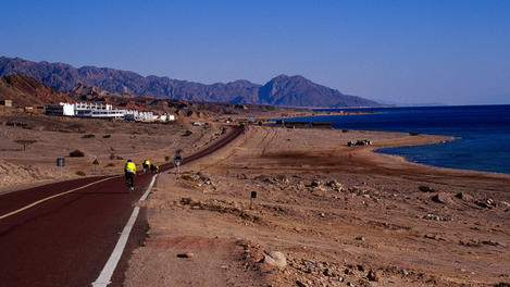 Sinai