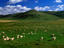 Image_18681-26