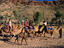 Image_18681-32