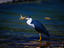 Image_1870-2