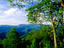 Image_18717-22