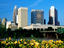 Charlotte skyline.