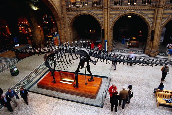 The Natural History Museum is housed in one of London's finest neo-Gothic buildings.