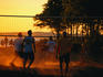 Volleyball game at sunset in Golden Gardens Park.