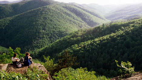 Image_18781-3