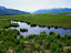 Image_1879-39