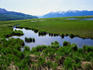 Potters Marsh, great for migratory birds - Anchorage, Alaska
