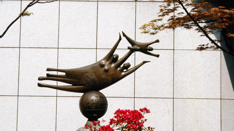 Image_18796-13