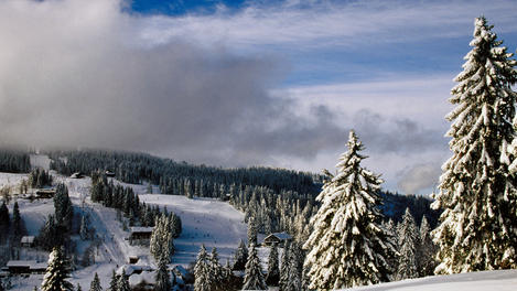 Image_18829-28