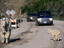 Image_18837-34