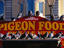 Image_1884-24