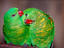 Image_18854-7