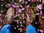 Image_18855-45