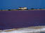 Purple coloured Salina de Cumaraguas, Venezuela
